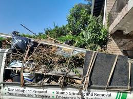 Best Commercial Junk Removal  in Steele, AL